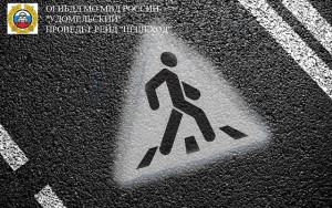 Сотрудники Госавтоинспекции проводят  профилактическое мероприятие &laquo;Пешеход&raquo;.