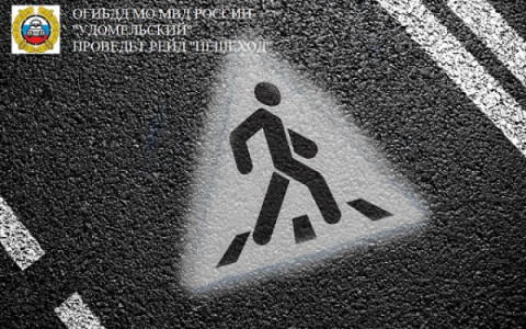 Сотрудники Госавтоинспекции проводят  профилактическое мероприятие &laquo;Пешеход&raquo;.