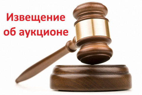 Администрация Удомельского городского округа проводит аукцион по размещению нестационарных торговых объектов
