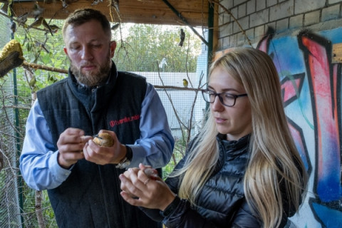 Здесь птицы поют звонко и заливисто