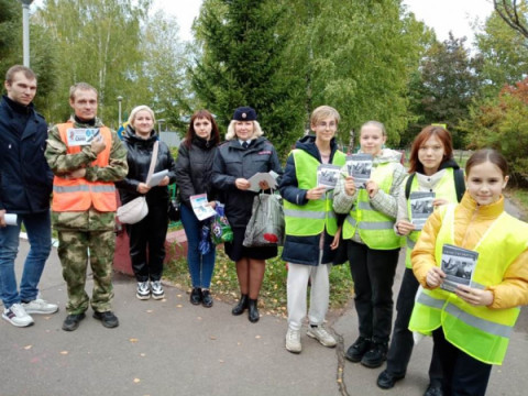 В рамках проведения Месячника безопасности в образовательных учреждениях Удомли прошли профилактические мероприятия &laquo;Родительский патруль&raquo;.